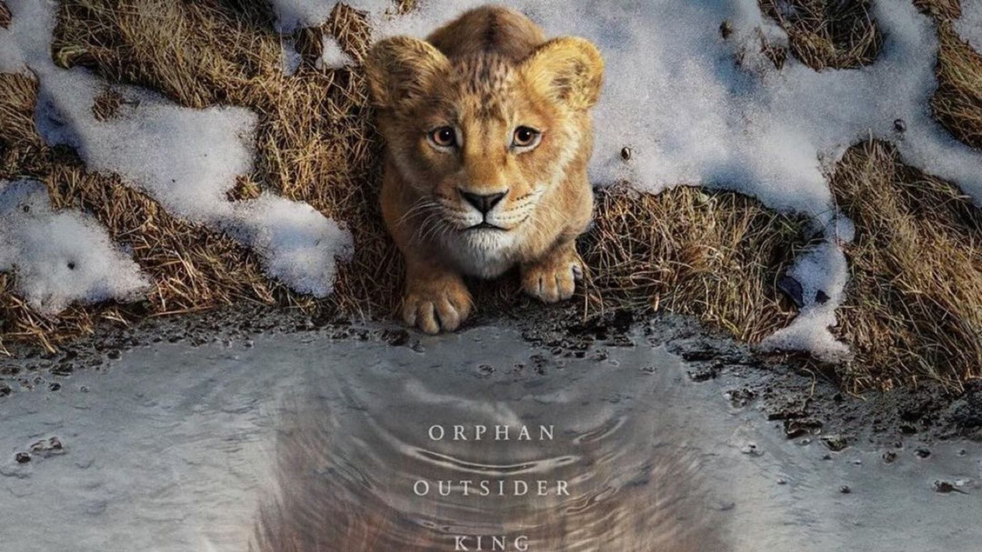 Mufasa Box Office Collection Day 8 Perform Better Known Total Collection Day Wise