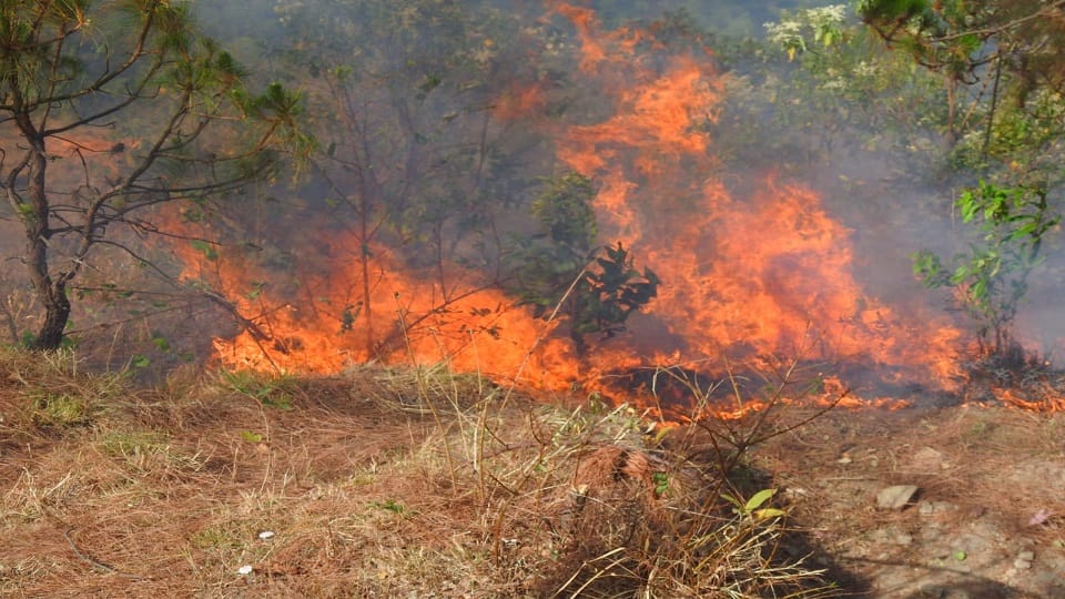 Nainital Forest Fire: The fire in the forests of Nainital reached the village
