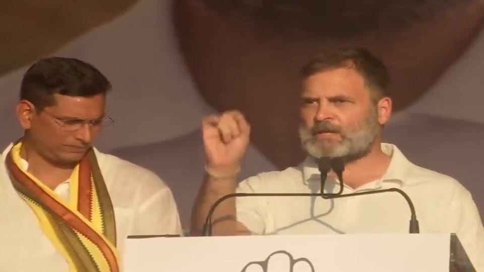 राहुल गांधी, नेता कांग्रेस