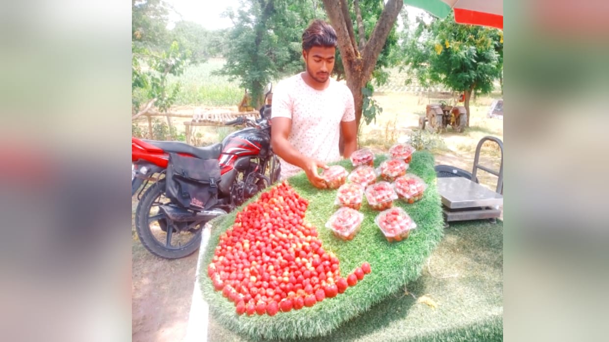 Two brothers of Belda made a name for themselves in Uttarakhand by growing strawberries.