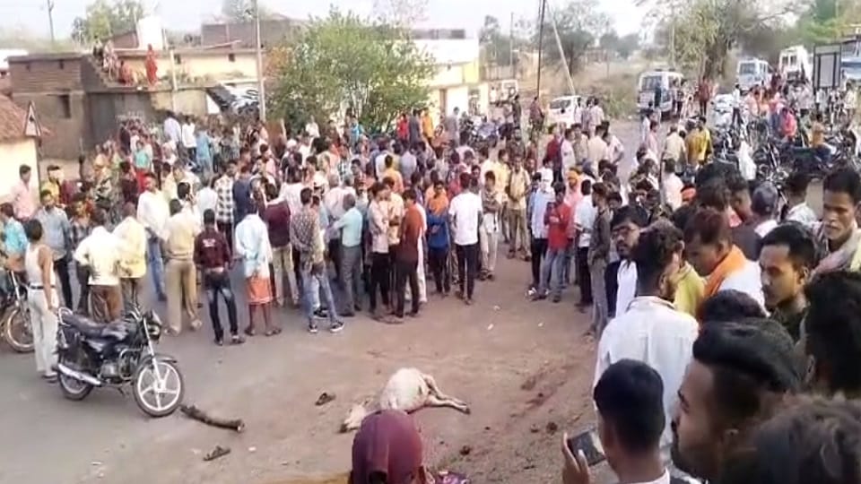 Four people died in a painful road accident truck crushed everyone including cattle in Rajnandgaon
