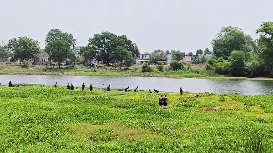 A team of 35 fishermen engaged in cleaning river covered with dirt and hyacinth in Balod