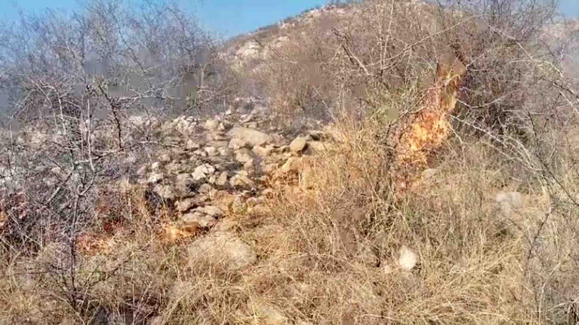 झाड़ियों में लगी आग।