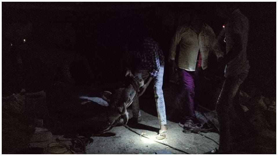 देर रात गयों को भी निकाला गया बाहर।