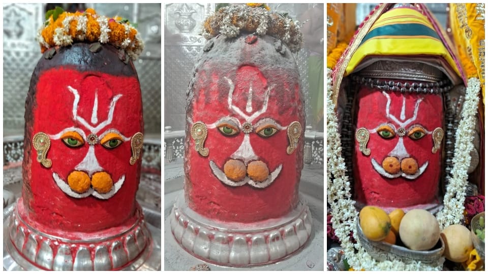 Ujjain News: Ujjain Mahakaleshwar Mandir Baba Mahakal dressed in the form of Hanuman in Bhasmarti
