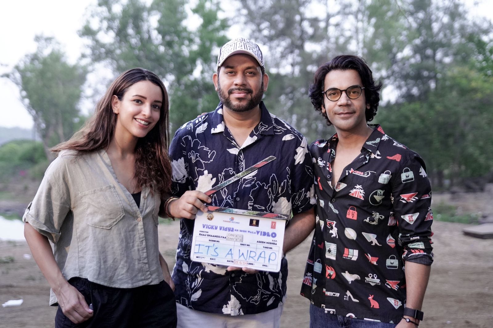 Vicky Vidya Ka Woh Wala Video Box Office Collection Day 12 Rajkummar rao triptii dimri film latest earning