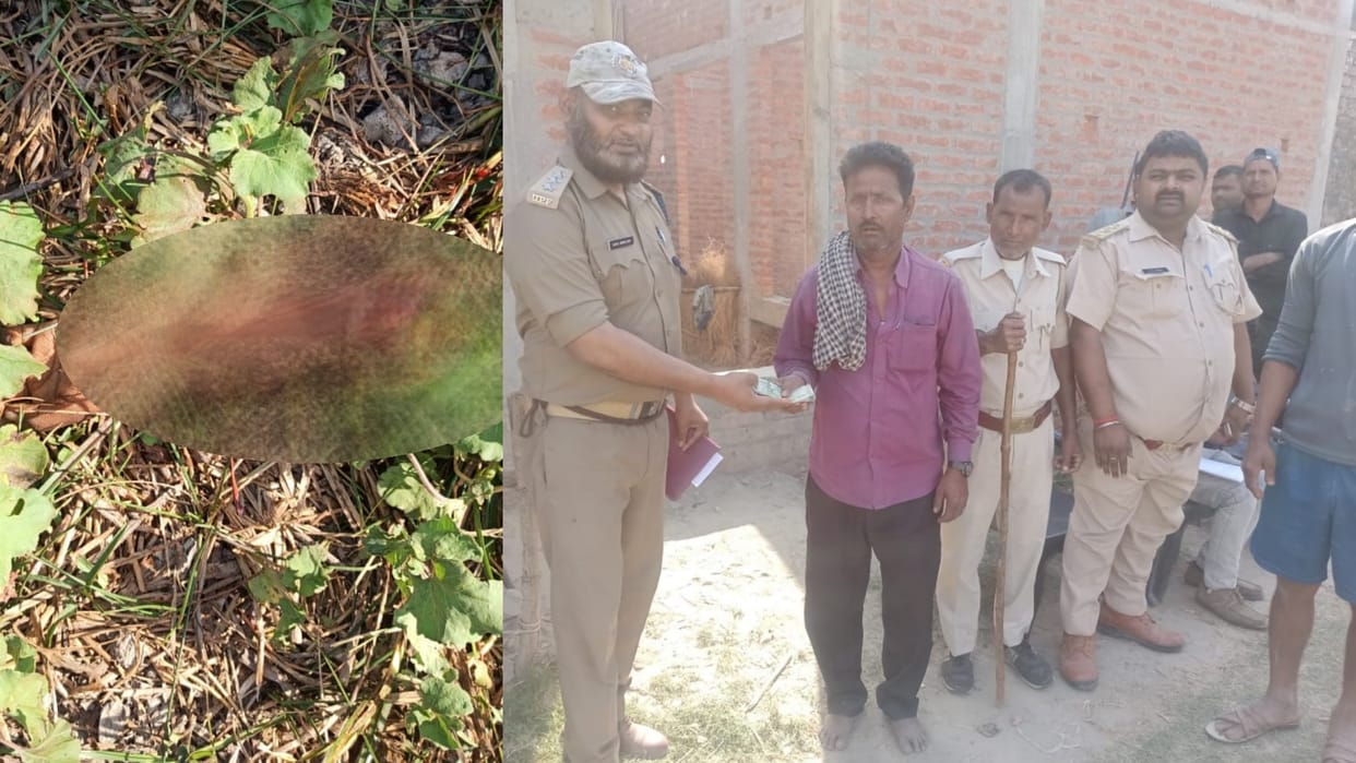 A leopard killed an eight years old girl in Bahraich.