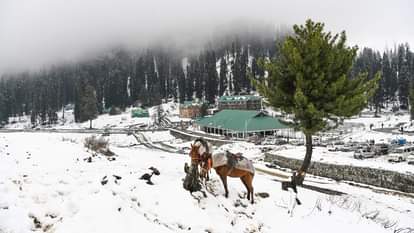Jammu Kashmir Weather: Heavy snowfall closes Mughal Road and Srinagar-Leh Highway