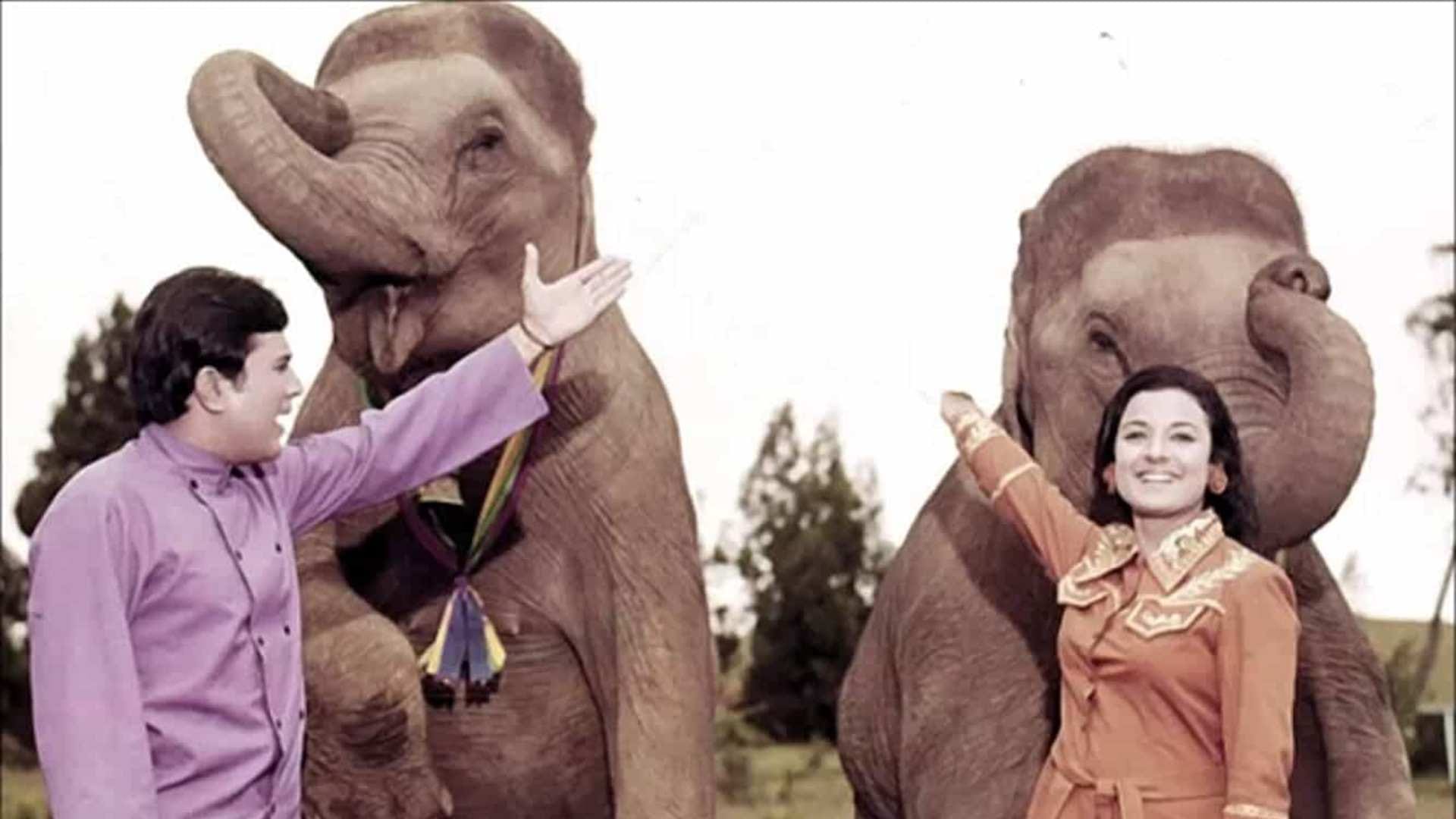 haathi mere saathi bioscope with Pankaj Shukla rajesh Khanna Tanuja salim javed k n singh chinappa devar