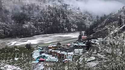 Saffron flowers could not bloom in Harshil valley Uttarkashi Horticulture Department had started cultivation