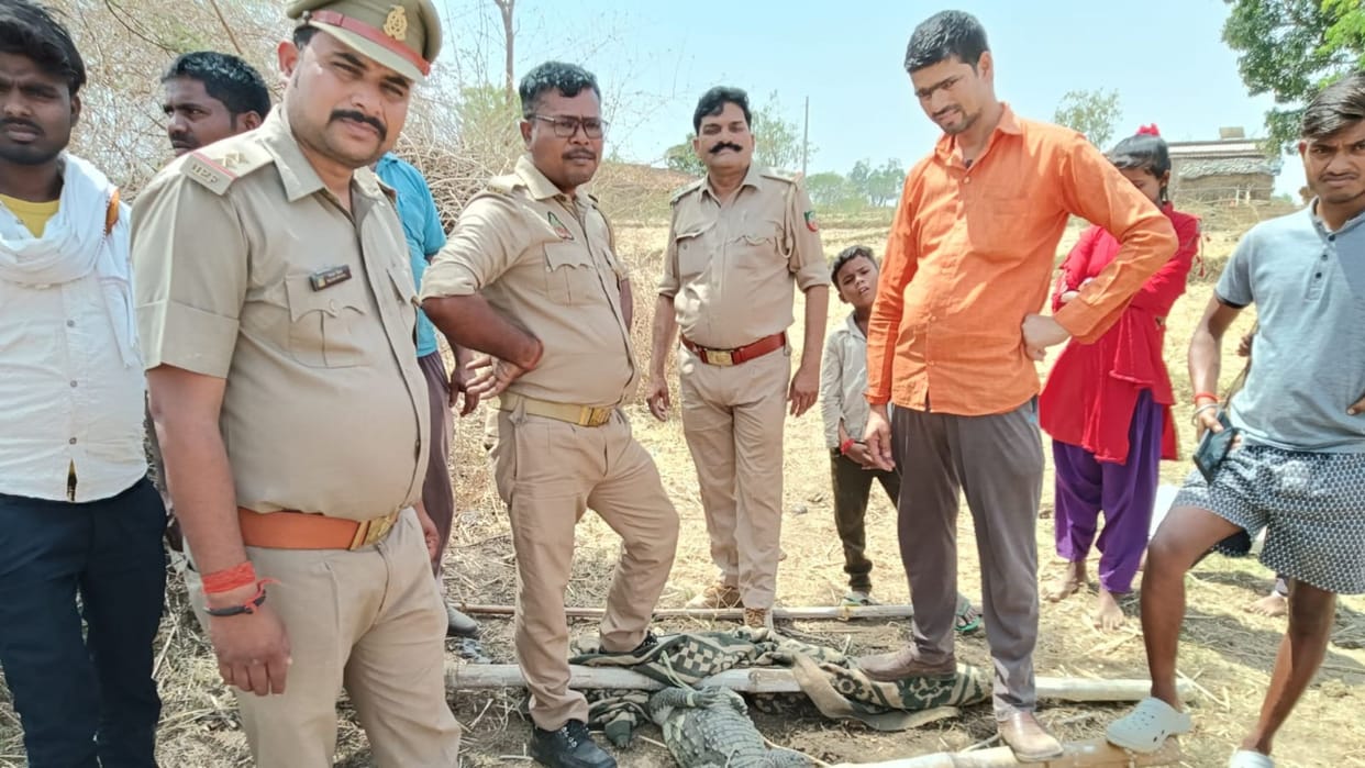 Six feet long crocodile caught by forest department in Sonbhadra