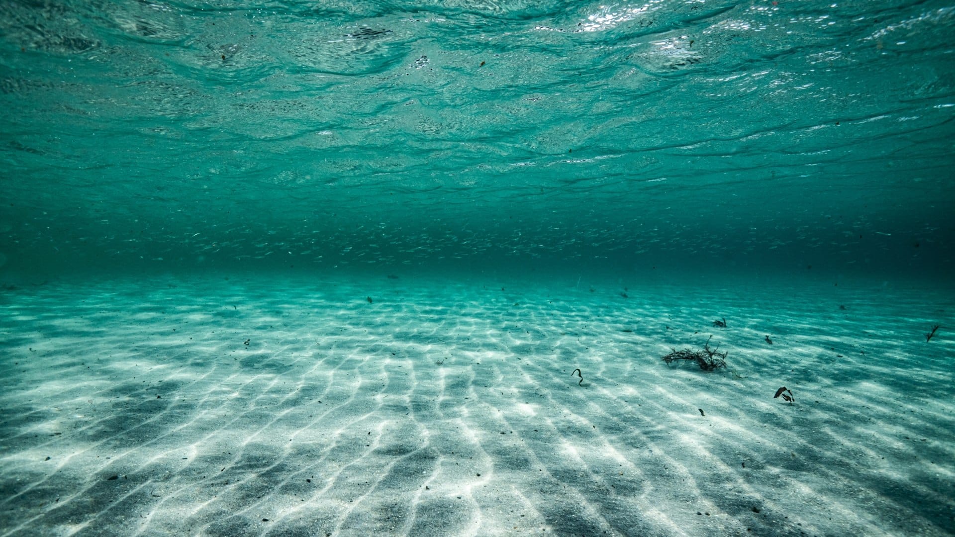 World’s deepest blue hole discovered, with hidden tunnels and caves
