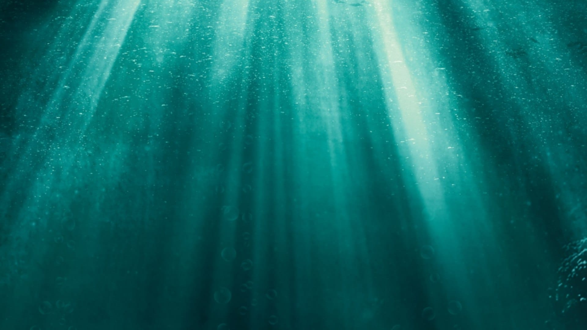 World’s deepest blue hole discovered, with hidden tunnels and caves