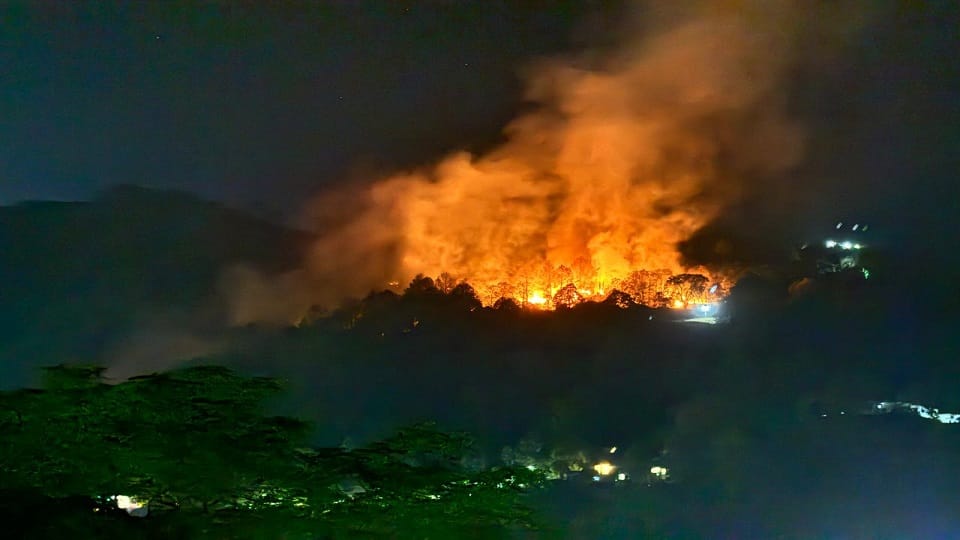 Uttarakhand Forest Fire: Fire broke out at 14 places in Kumaon in 24 hours