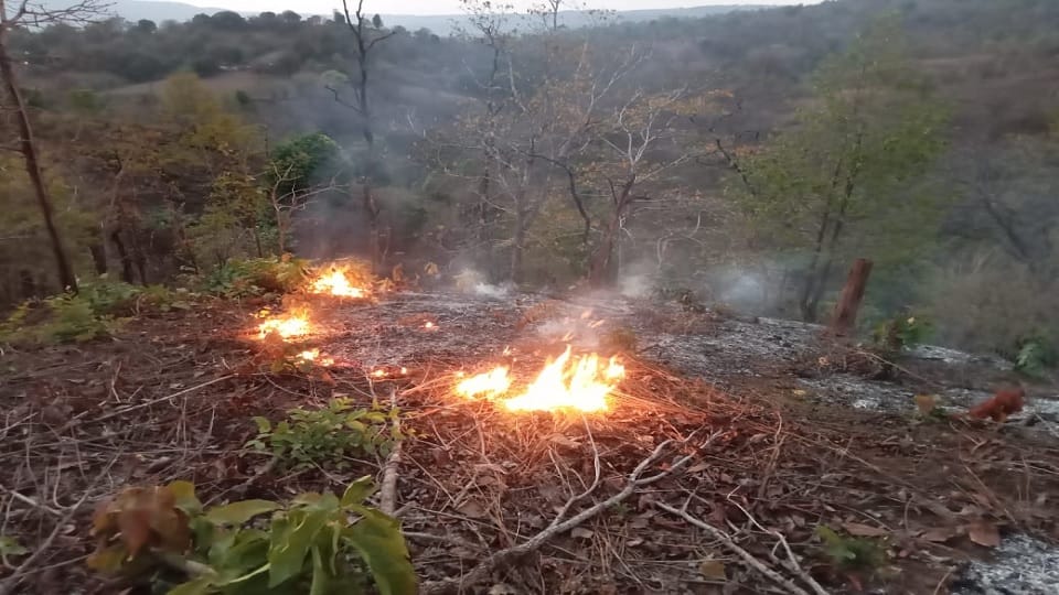 Forest burning in scorching heat fire broke out at 15 places in a week in Kabirdha
