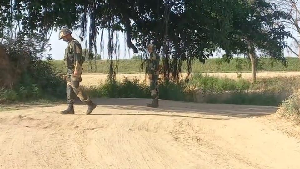 BSF foils bid by Bangladeshis to smuggle cattle across Bengal border