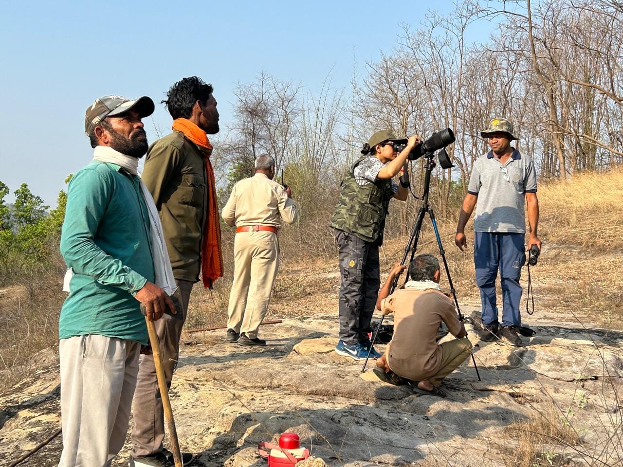 गिद्ध गणना