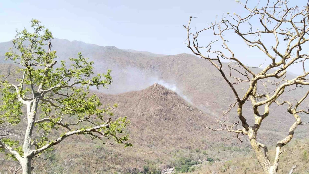 Sirohi News: Fire broke out in the hills of Mount Abu