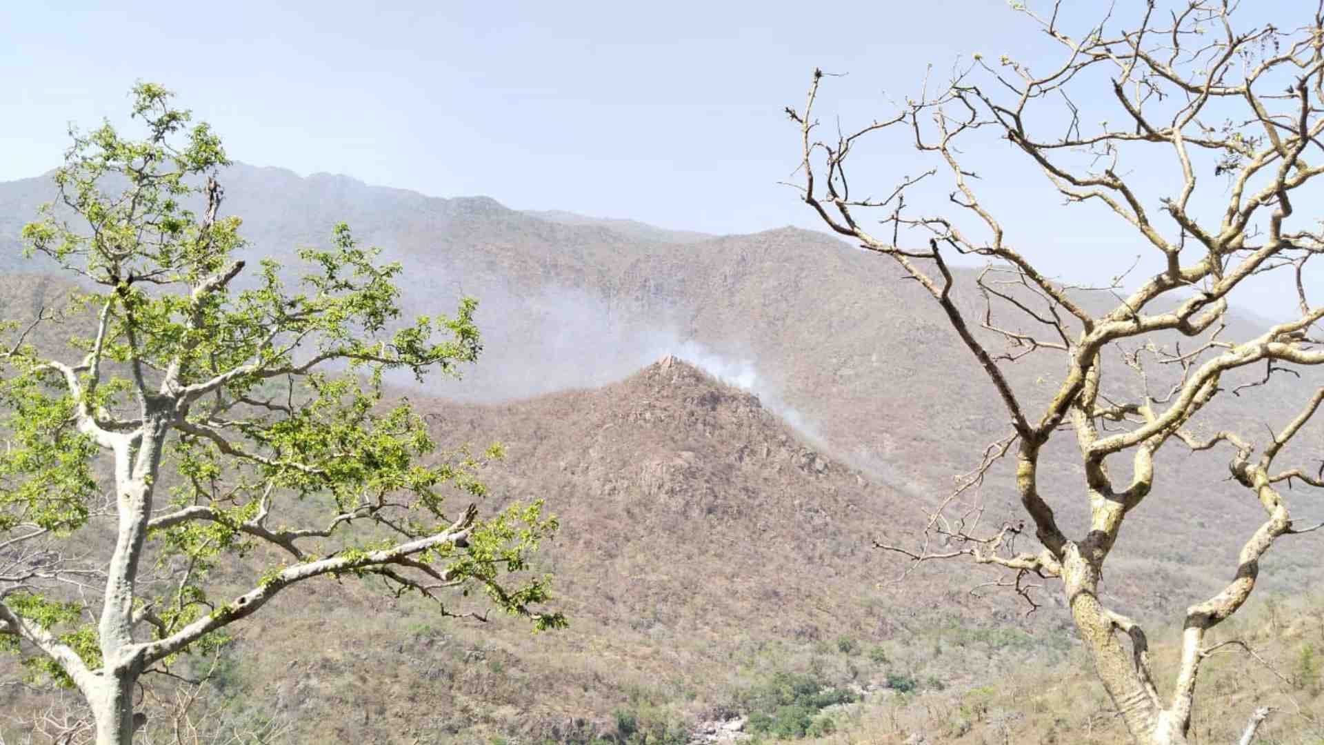 पहाड़ी पर लगी आग।