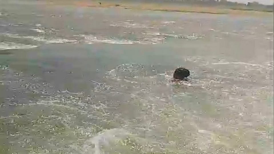 Four gates of Shivrinarayan Barrage were opened without alerting in Janjgir Champa
