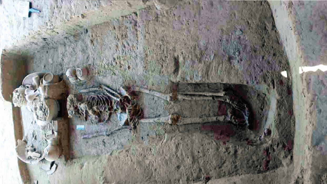 Samples taken from 12 people of Rakhigarhi for matching with DNA extracts of skeletons