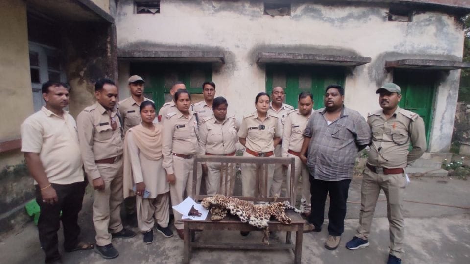 Police recovered leopard skin and an air gun in Raigarh