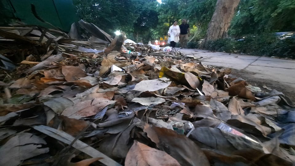 MCD will prepare 'black gold' worth lakhs from the leaves fallen from trees in autumn