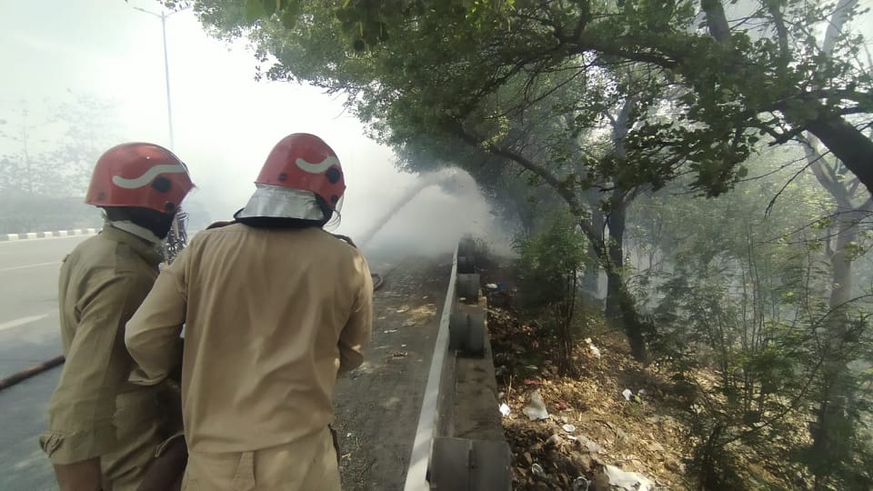 Trees caught fire near Delhi's Mahatma Gandhi Outer Ring Road