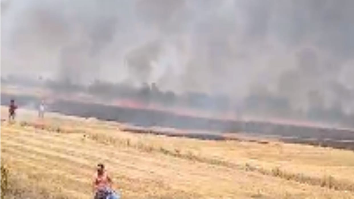 Six bigha crop lost fire in sonbhadra
