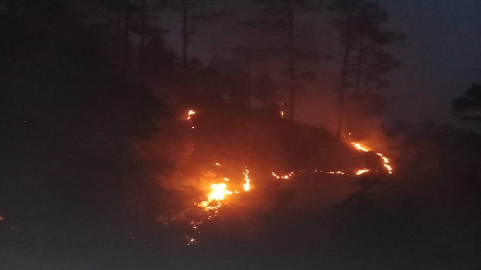 Uttarakhand Forest Fire: Fire broke out at 33 places in 24 hours in Kumaon forest