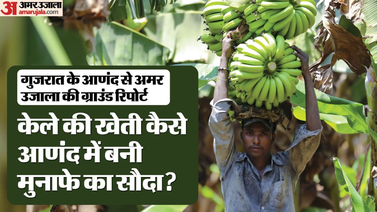 Lok Sabha Polls Anand Lok Sabha Constituency ground report news in hindi