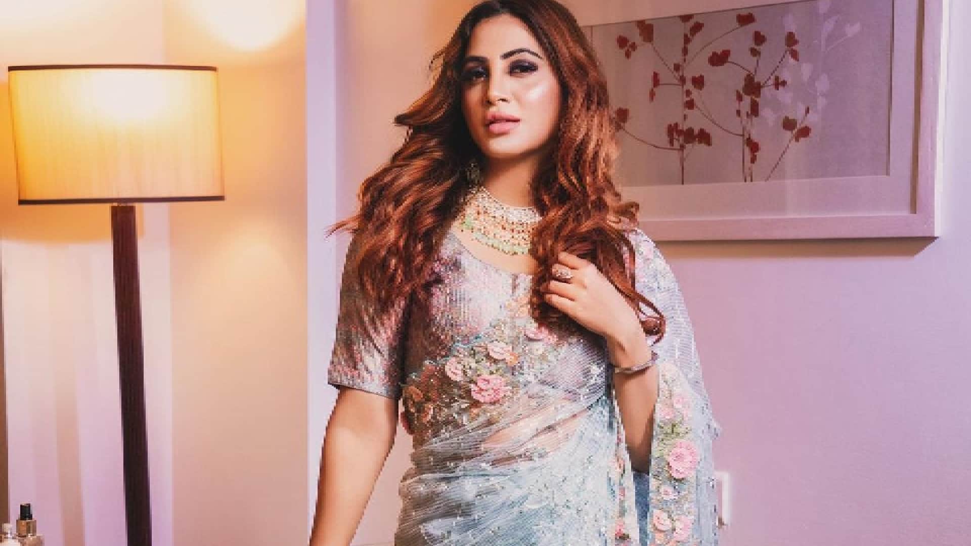 Bigg Boss Stars Who Rose to Fame Shehnaaz Gill Sunny Leone Arshi Khan Monalisa Sidharth Shukla