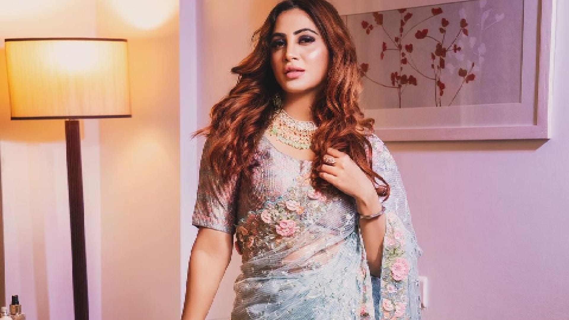 Bigg Boss Stars Who Rose to Fame Shehnaaz Gill Sunny Leone Arshi Khan Monalisa Sidharth Shukla