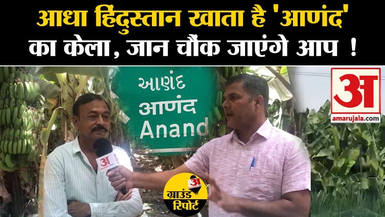 गुजरात/आणंद