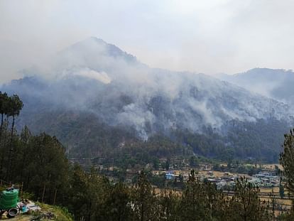 Uttarakhand Forest Fire: forests of the state were burnt but not a single tree was burnt