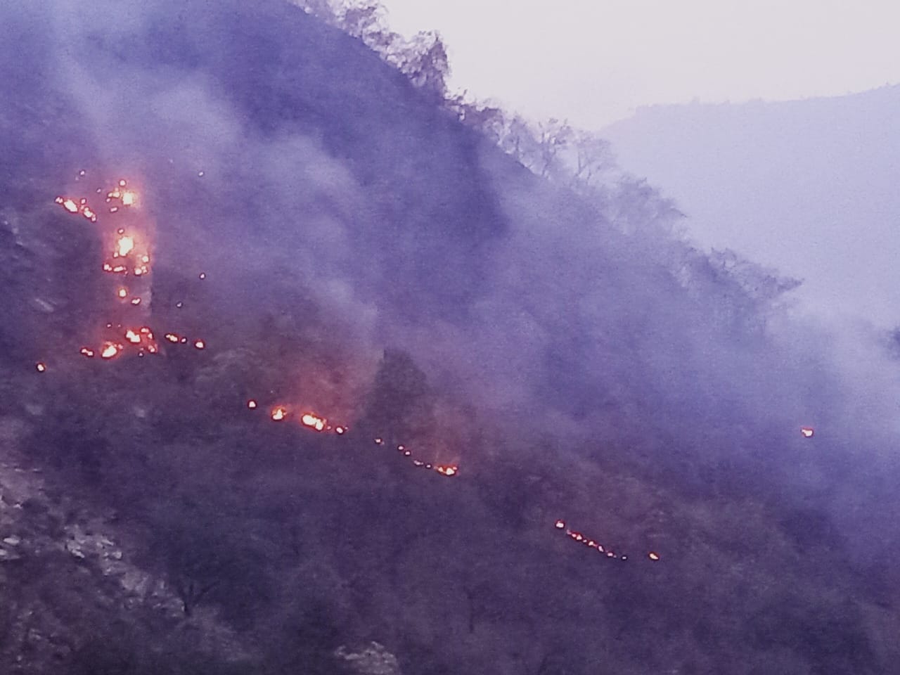 Uttarakhand Forest Fire at 64 places Today two dead CM Dhami called a high level meeting