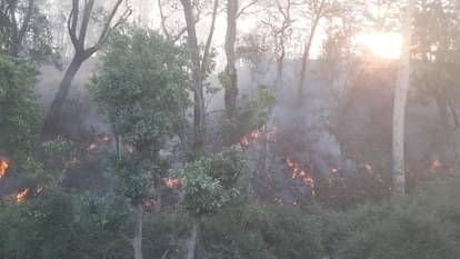 Uttarakhand Forest Fire at 64 places Today two dead CM Dhami called a high level meeting