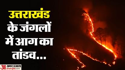 Nainital Forest Fire: Fire in the forest of Fatehpur range