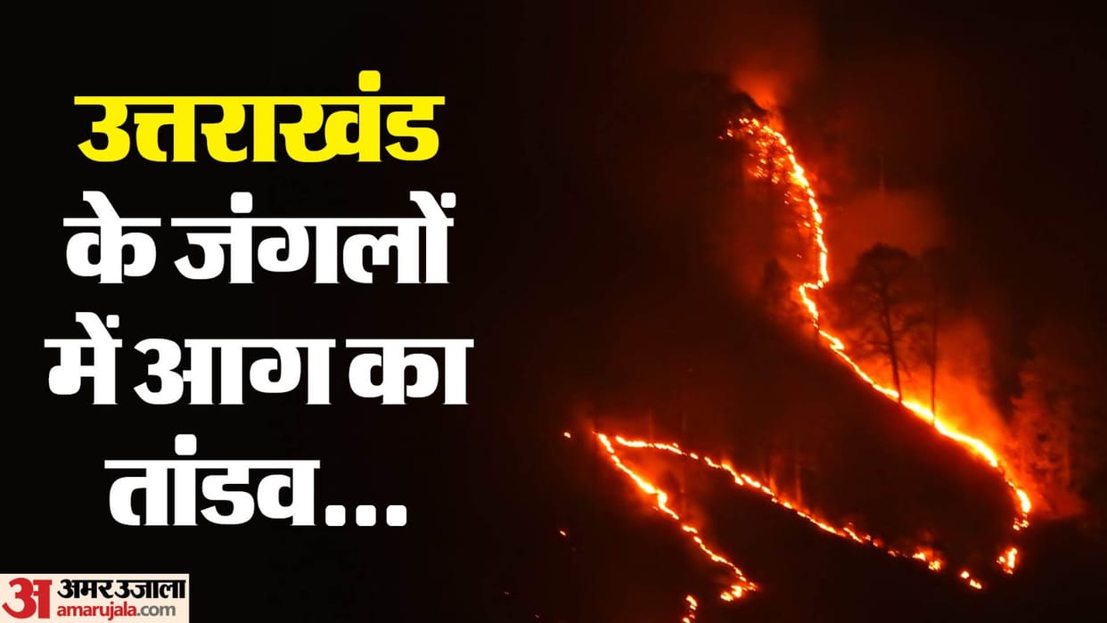 Uttarakhand Forest Fire at 64 places Today two dead CM Dhami called a high level meeting