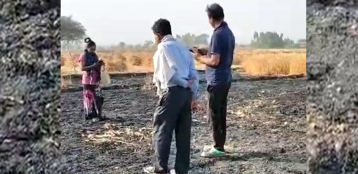 Two bighas of wheat crop burnt to ashes due to fire, villagers brought it under control with hard work