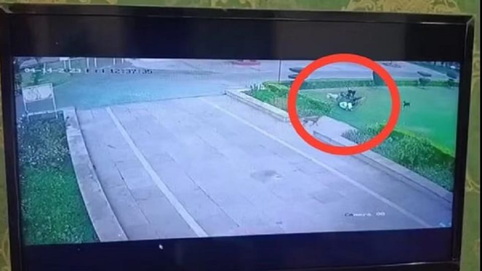 Doctor dies in dog attack in AMU
