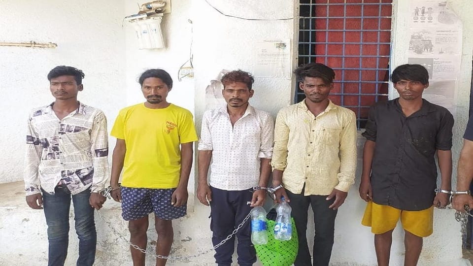 Police exposed Pardhi gang used to carry out the crime after doing recce in Durg
