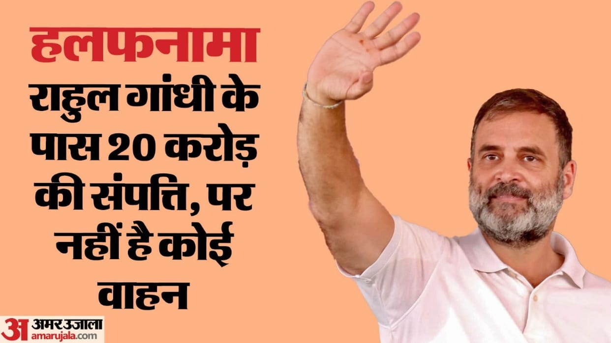 Rahul files nomination for Lok Sabha elections from Rae Bareli, reveals his assets