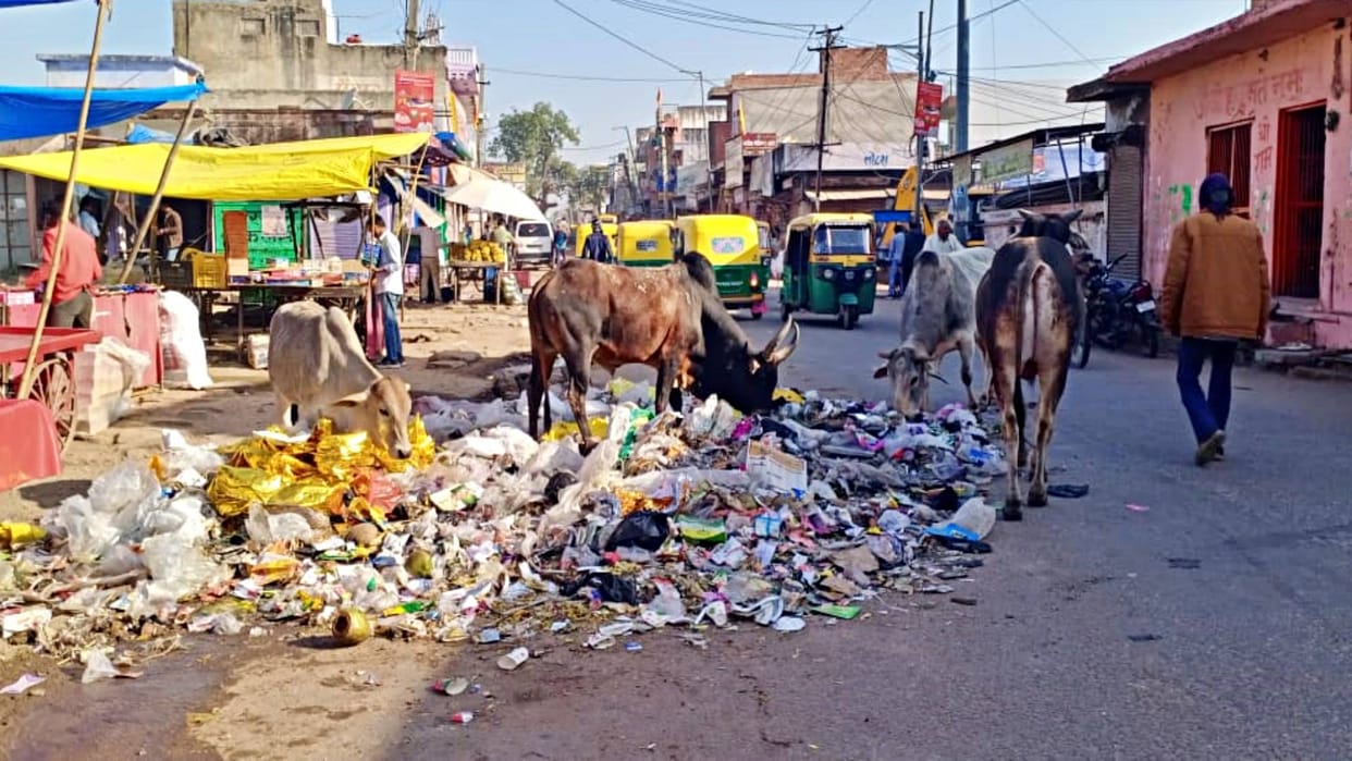 Karauli News Piles of garbage piled up everywhere in city city council ignores it