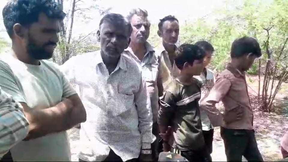 Uncontrolled bull kills buffalo in Dubhiya, cow injured