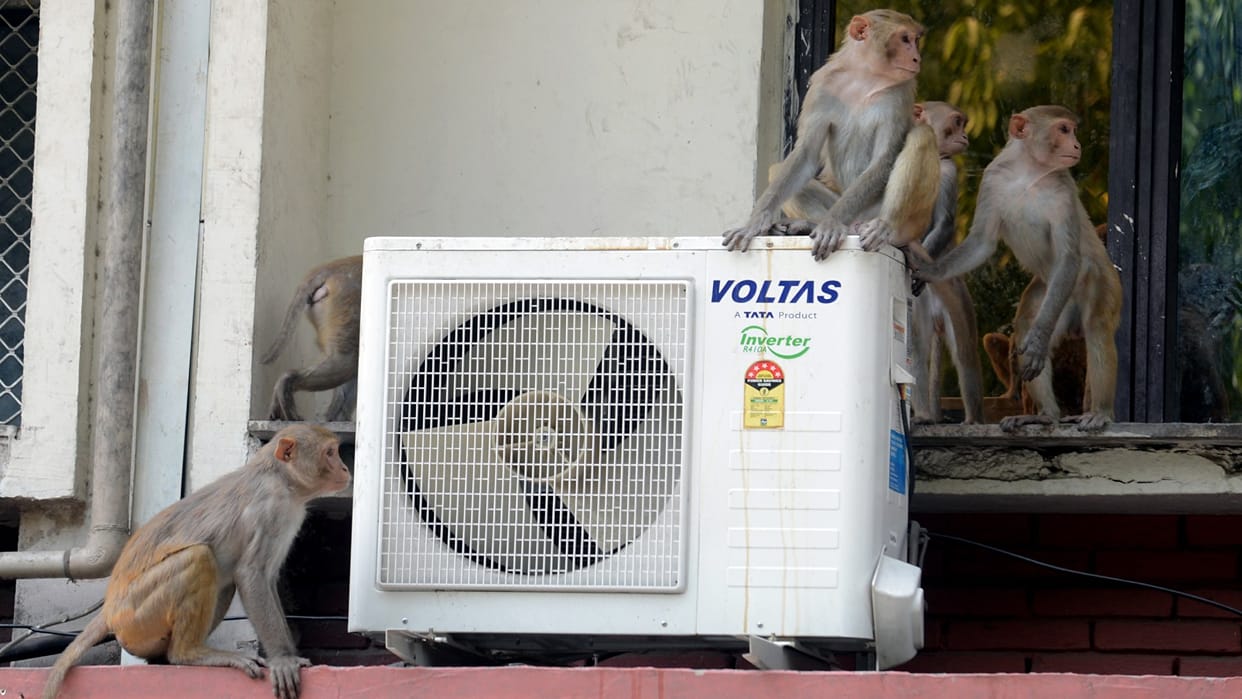 More demand for AC in summer, prices increased by five percent, Companies are facing supply problem: Report