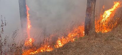 people suffocating due to forest fire, respiratory problems are increasing