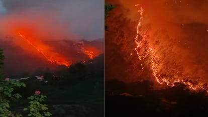 Nainital Forest Fire: Fire in the forest of Nainital and Bhimtal of Uttarakhand
