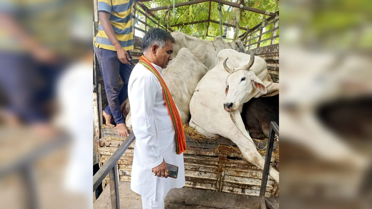 : Police caught cattle being smuggled, three including truck driver detained