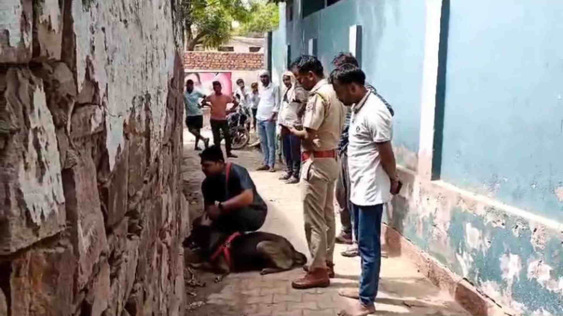 घटनास्थल पर छानबीन करती पुलिस डॉग स्क्वायड टीम।